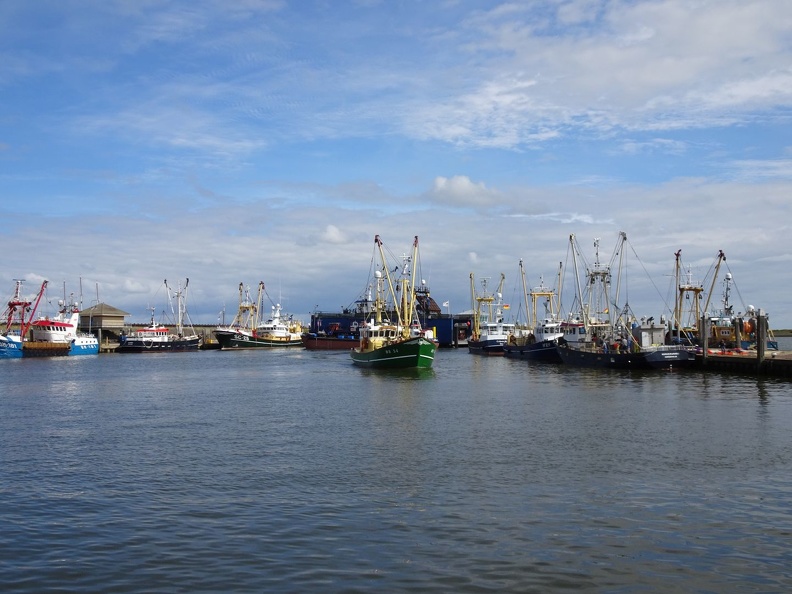 Les plats pays_2022_0803.jpg