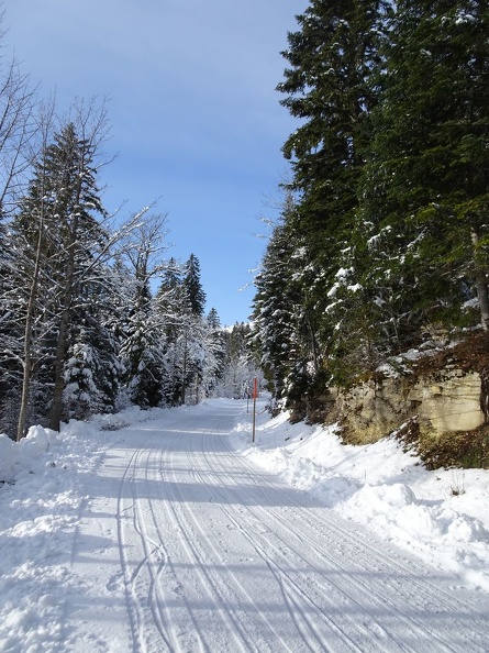 Magnifique ambiance hivernale et une fine couche de neige par dessus la glace - cool ! Baba_18.12.22_05.jpg