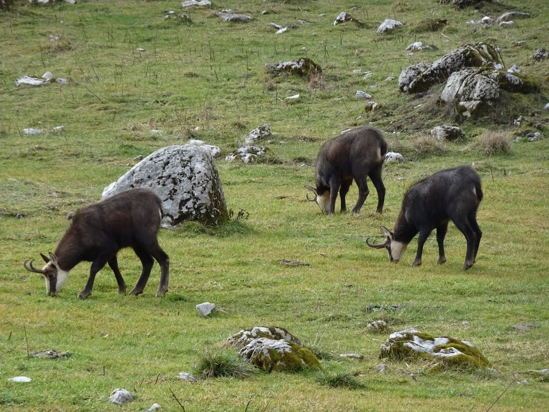 Baba 31.12.22_25.jpg