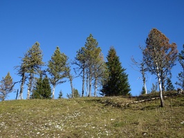 Vallée de Joux 01.01.23 08