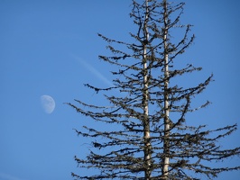 Vallée de Joux 01.01.23 51