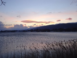 Barillette 21.01.23 36