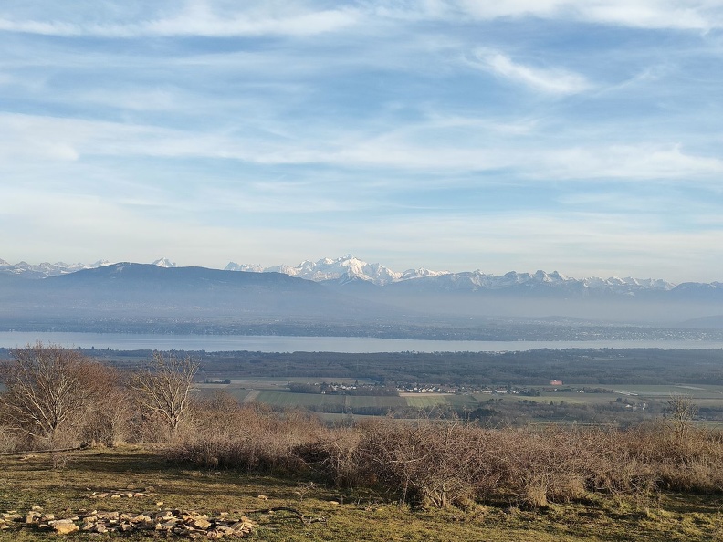 Barillette 21.02.23_12.jpg