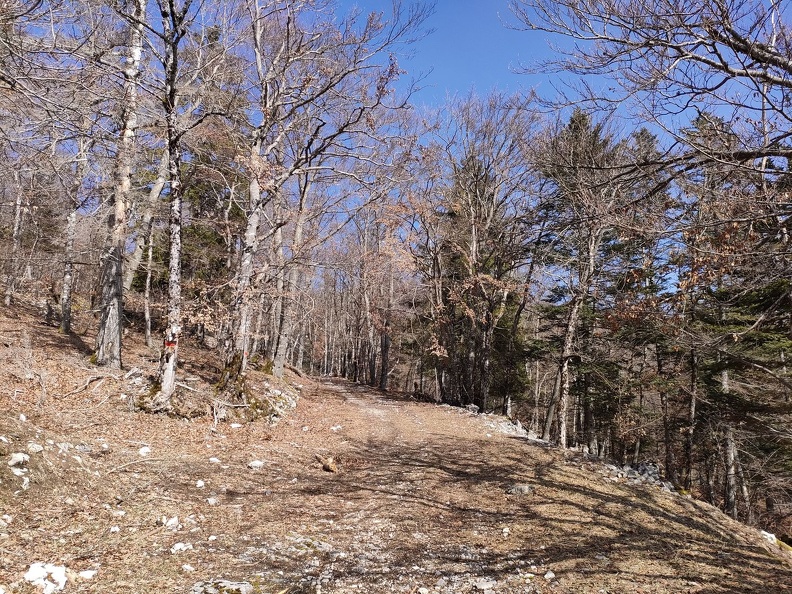 Vesancy-Barillette 5.03.23_06.jpg