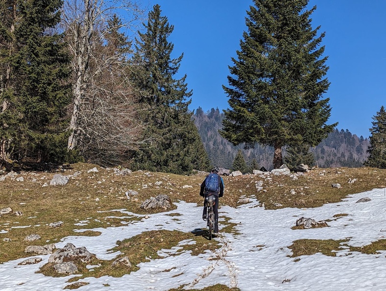 A travers le pâturage de la Combe du Faoug Vesancy-Barillette 5.03.23_11_S.jpg