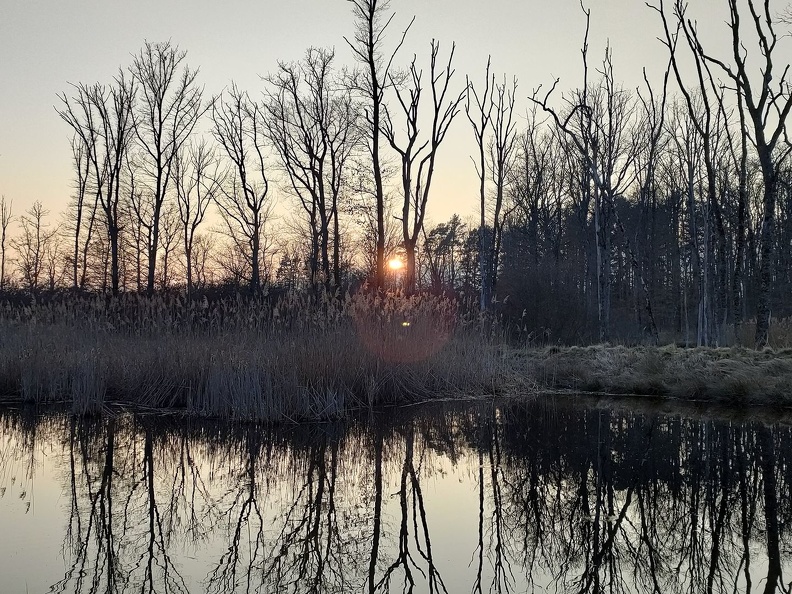 Coucher de soleil magique pour couronner une belle journée dans la nature Vesancy-Barillette 5.03.23_19.jpg