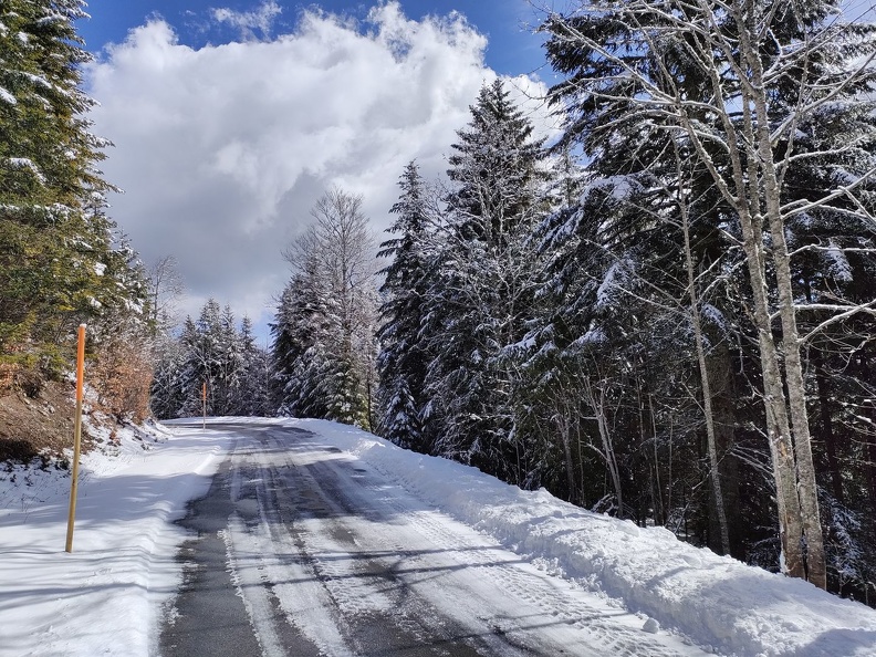 Barillette 15.03.23_08.jpg