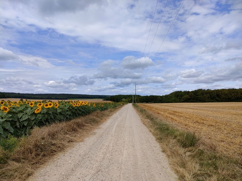 Avenue Verte_09.jpg