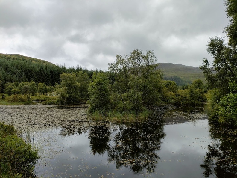 Zone humide au pied des collines des Highlands UK2023_0781.jpg