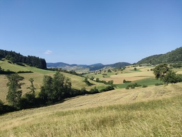 IMG20240625092555