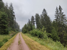 IMG20240626091920