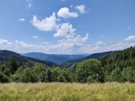 IMG20240627133235