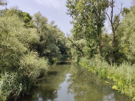 IMG20240629125055