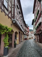 IMG20240701091909