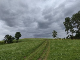 IMG20240705123957