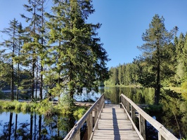 IMG20240706083129