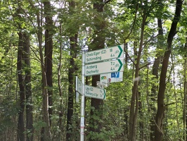 IMG20240706120227