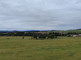 IMG20240707160818