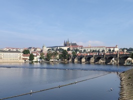 IMG20240710084222