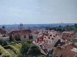 IMG20240710094759