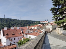 IMG20240710094840