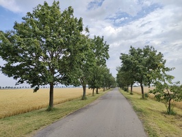 IMG20240712102839