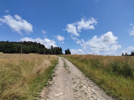 IMG20240714141721