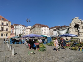 IMG20240716092229