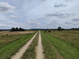 IMG20240720131910