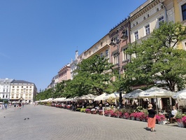 IMG20240722110002