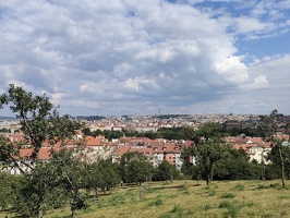 IMG20240724153029