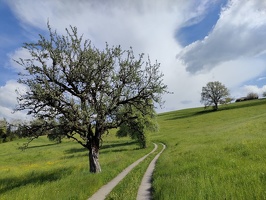 IMG20250428164019