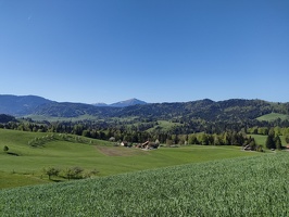 IMG20250429102700
