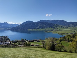 IMG20250429110255