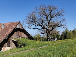 IMG20250429101345