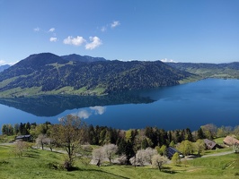 IMG20250429115235