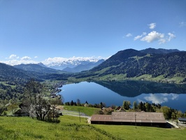 IMG20250429115532