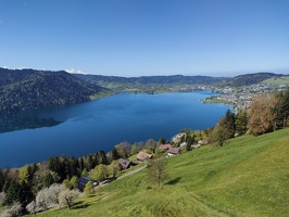 IMG20250429115222