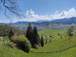 IMG20250429123724
