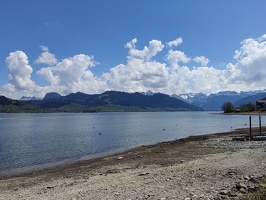 IMG20250429134524