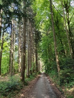 IMG20250429161651