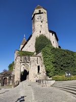 IMG20250430092943
