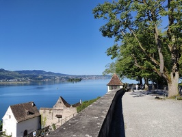 IMG20250430093603