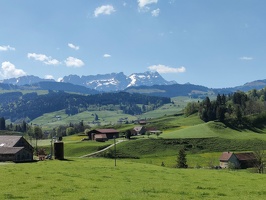 IMG20250501114001