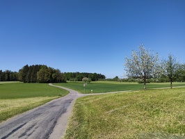 IMG20250501145721