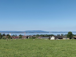IMG20250501160141