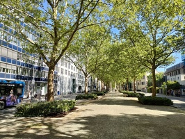 IMG20250502101821
