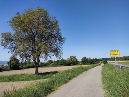 IMG20250502113040