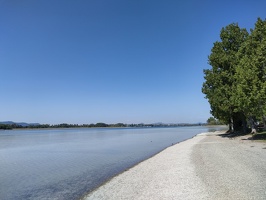 IMG20250502114023