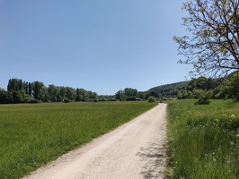 IMG20250502125842